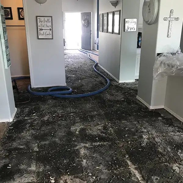 Flooring Removed Through Dustless Tile Removal